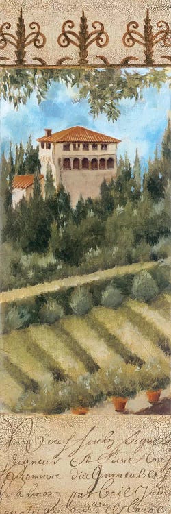 Tuscany Villa II by Liz Jardine wall art
