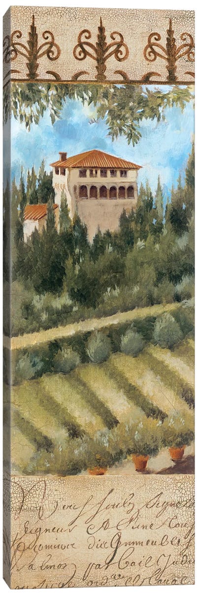 Tuscany Villa II Canvas Art Print
