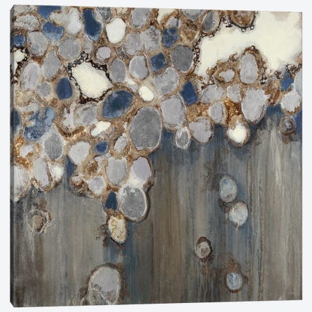 Indigo Oyster Shells Canvas Print #JAR262} by Liz Jardine Canvas Print