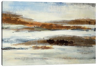 Jagged Coast Canvas Art Print - Liz Jardine