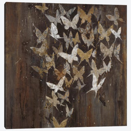 Social Butterflies Canvas Print #JAR274} by Liz Jardine Canvas Art Print