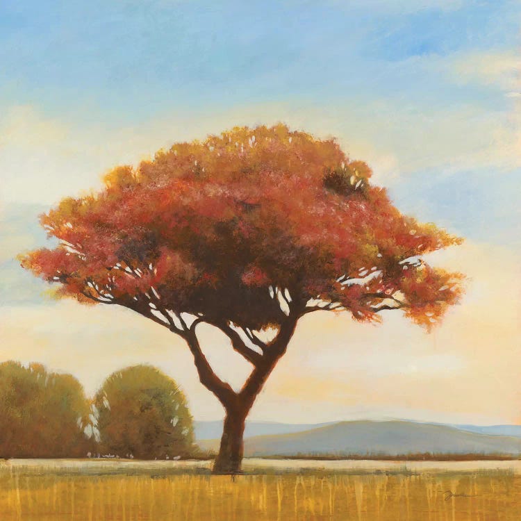 At Day's End by Liz Jardine wall art