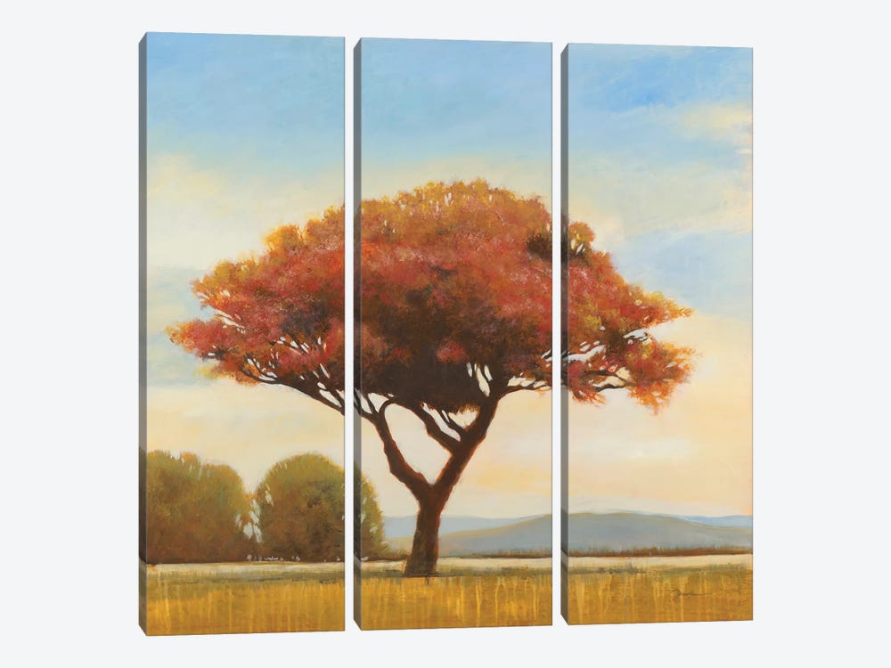 At Day's End by Liz Jardine 3-piece Canvas Print