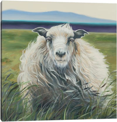 Homespun (Lamb) Canvas Art Print - Liz Jardine