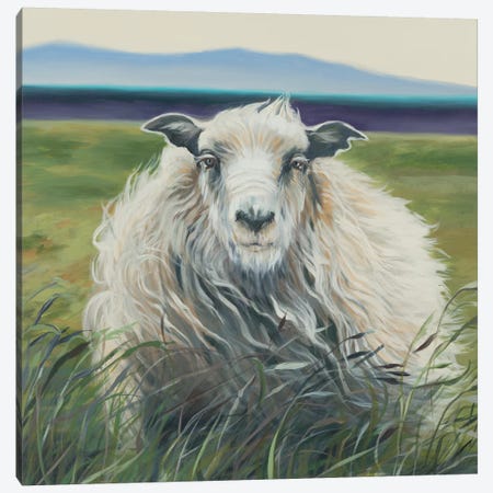 Homespun (Lamb) Canvas Print #JAR295} by Liz Jardine Canvas Art Print