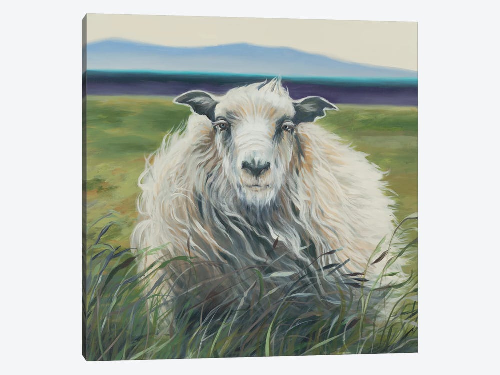 Homespun (Lamb) by Liz Jardine 1-piece Canvas Print