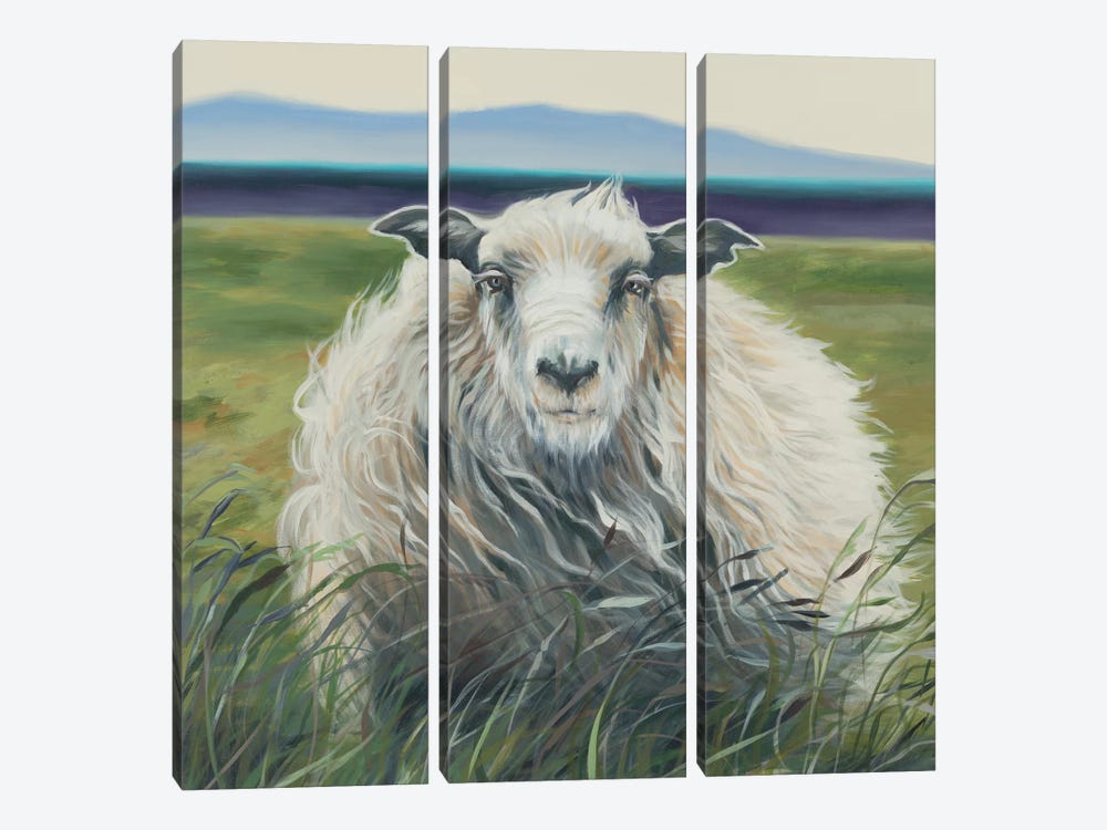Homespun (Lamb) by Liz Jardine 3-piece Canvas Art Print