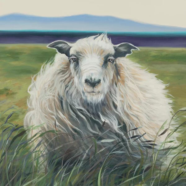 Liz Jardine: Homespun (Lamb) by Liz Jardine
