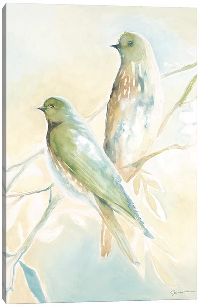 Love Birds Canvas Art Print - Liz Jardine