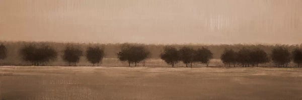 Liz Jardine: Morning Glory I by Liz Jardine