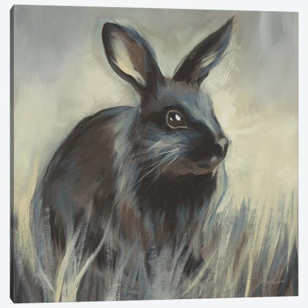 Wild Hare I Canvas Print #JAR312} by Liz Jardine Canvas Art Print