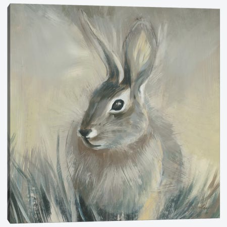 Wild Hare II Canvas Print #JAR313} by Liz Jardine Art Print