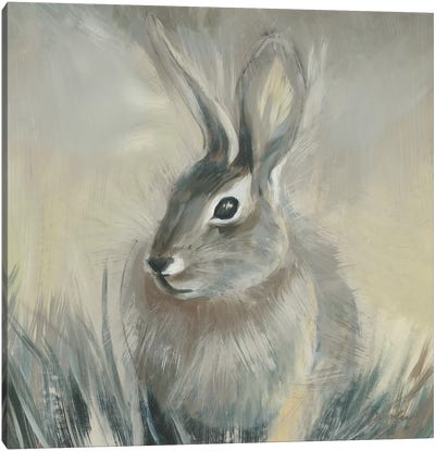 Wild Hare II Canvas Art Print - Liz Jardine