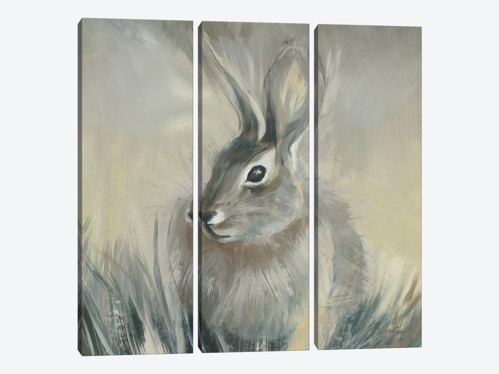 Wild Hare II by Liz Jardine 3-piece Canvas Artwork