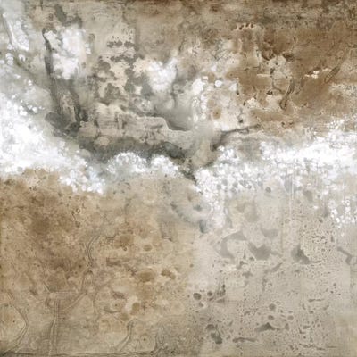 Crystal Vision by Liz Jardine art print