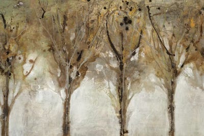 Seeing the Liight by Liz Jardine canvas print