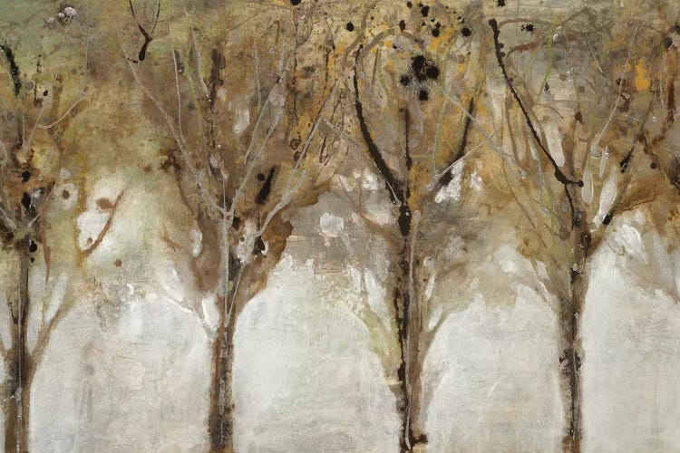 Seeing the Liight by Liz Jardine wall art