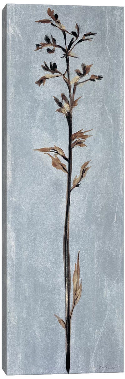 Cool Botanicals III Canvas Art Print - Liz Jardine