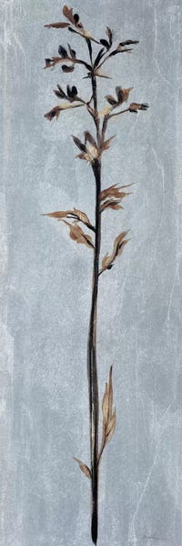 Liz Jardine: Cool Botanicals III by Liz Jardine