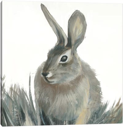 Wild Hare II V1 Canvas Art Print - Liz Jardine