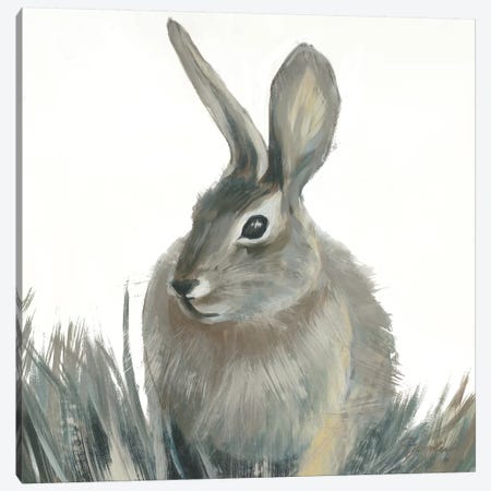 Wild Hare II V1 Canvas Print #JAR333} by Liz Jardine Canvas Art Print
