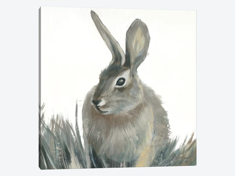 Wild Hare II V1 by Liz Jardine 1-piece Canvas Artwork