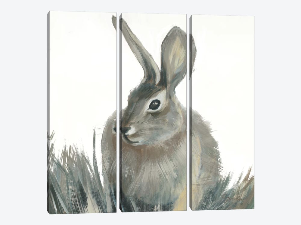 Wild Hare II V1 by Liz Jardine 3-piece Canvas Wall Art