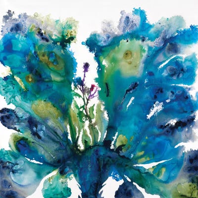 Peacock Blossom by Liz Jardine framed canvas print