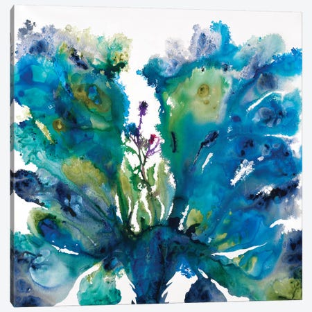 Peacock Blossom Canvas Print #JAR342} by Liz Jardine Canvas Wall Art