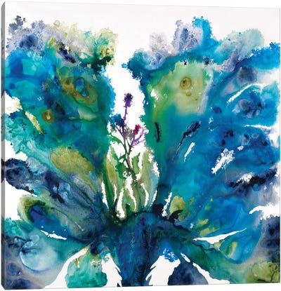 Peacock Blossom Canvas Art Print - Liz Jardine