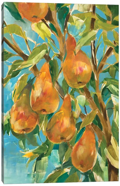 In A Pear Tree Canvas Art Print - Pear Art