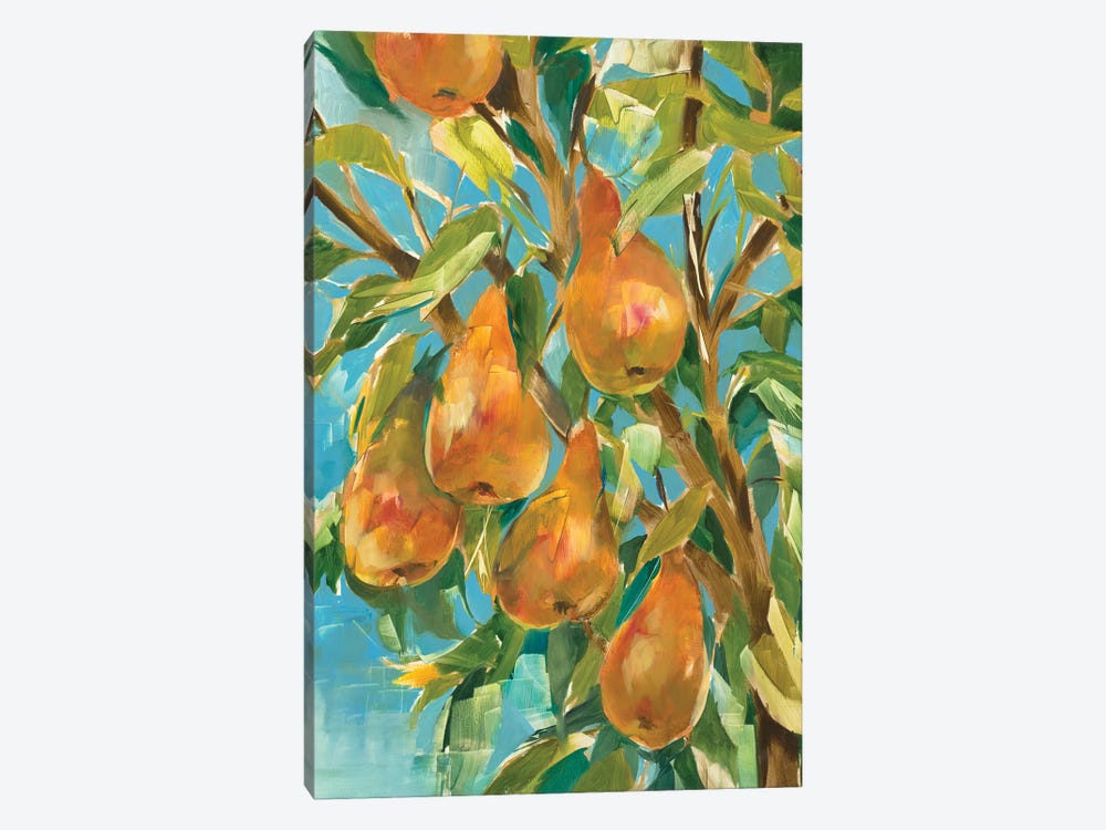 In A Pear Tree by Liz Jardine 1-piece Canvas Art Print