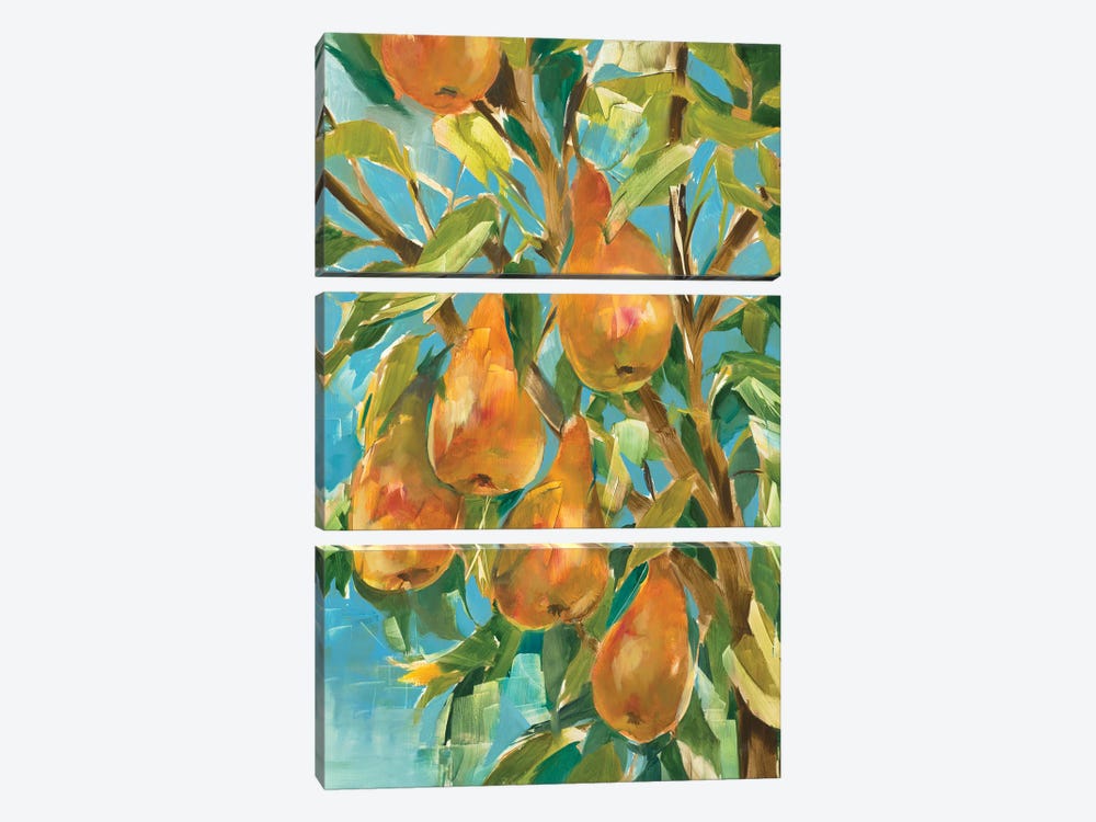 In A Pear Tree by Liz Jardine 3-piece Canvas Print