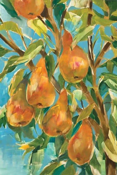 Pears: In A Pear Tree by Liz Jardine