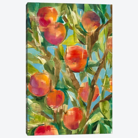 Just Peachy Canvas Print #JAR346} by Liz Jardine Canvas Art Print