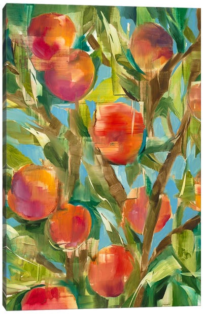 Just Peachy Canvas Art Print - Liz Jardine