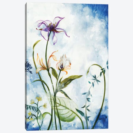 Fantasy Flowers Canvas Print #JAR351} by Liz Jardine Art Print