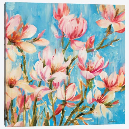 Magnolias In Bloom Canvas Print #JAR353} by Liz Jardine Canvas Print