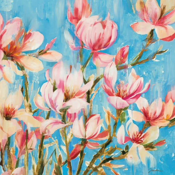 Magnolias: Magnolias In Bloom by Liz Jardine