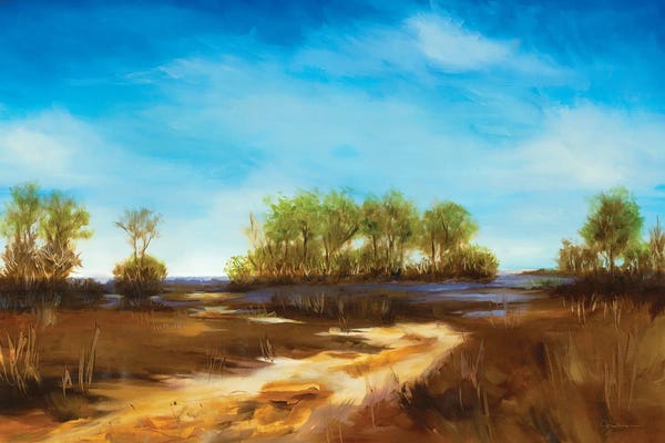 Liz Jardine: Sandy Road Beach by Liz Jardine