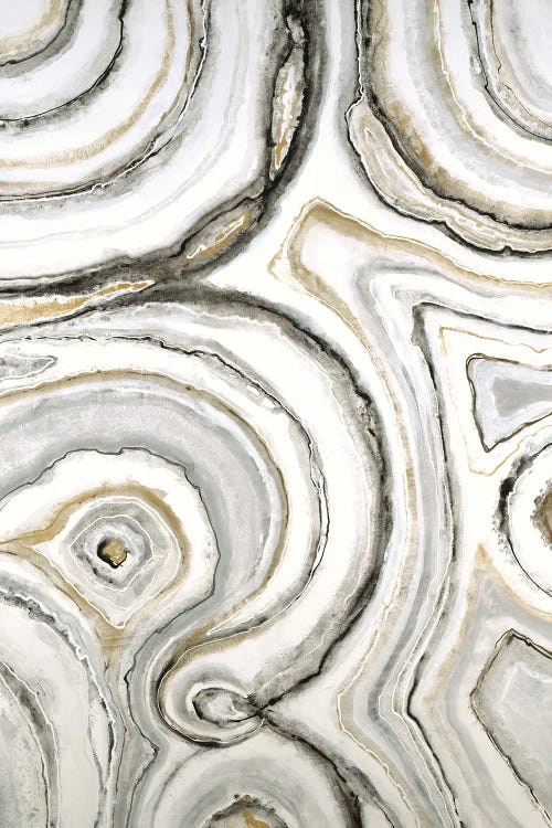 Shades Of Gray by Liz Jardine wall art