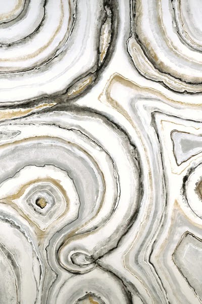 Agates, Geodes & Minerals: Shades Of Gray by Liz Jardine