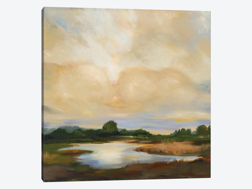Sunset Hues by Liz Jardine 1-piece Canvas Art