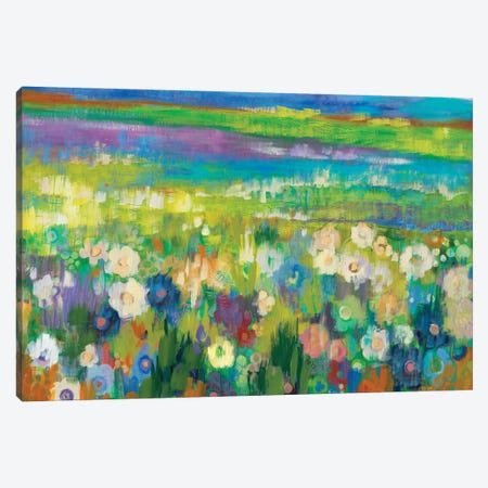 Flower Fields Canvas Print #JAR377} by Liz Jardine Canvas Art