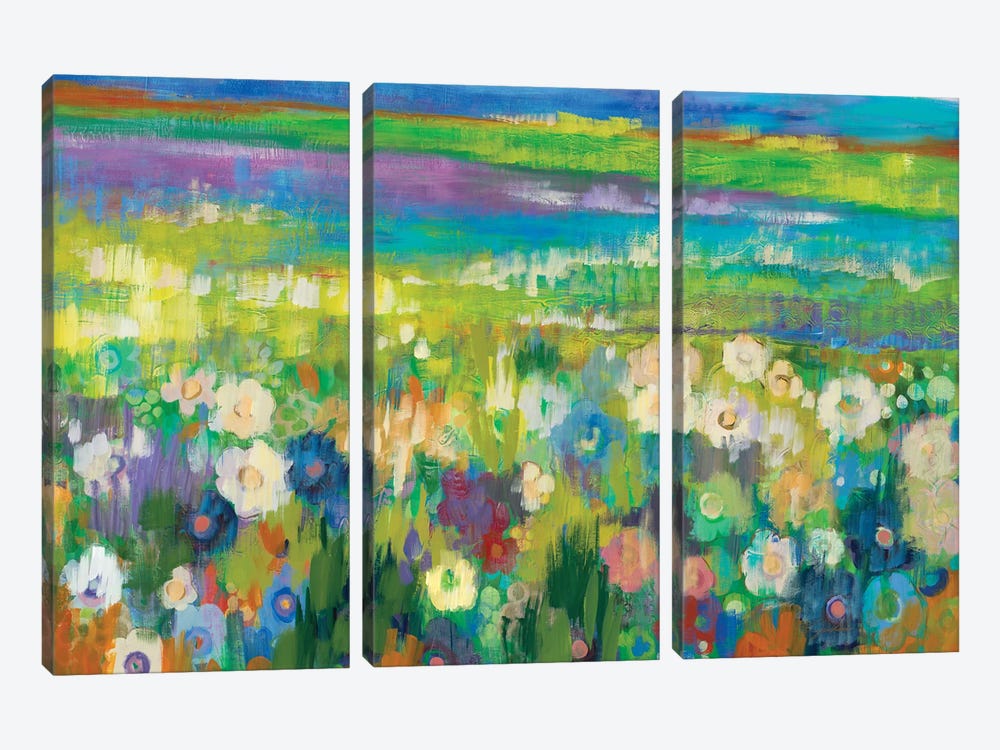 Flower Fields by Liz Jardine 3-piece Canvas Wall Art