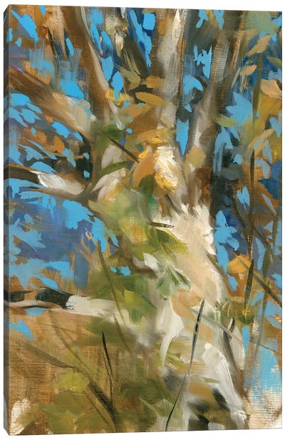 Oak Tree Canvas Art Print - Liz Jardine