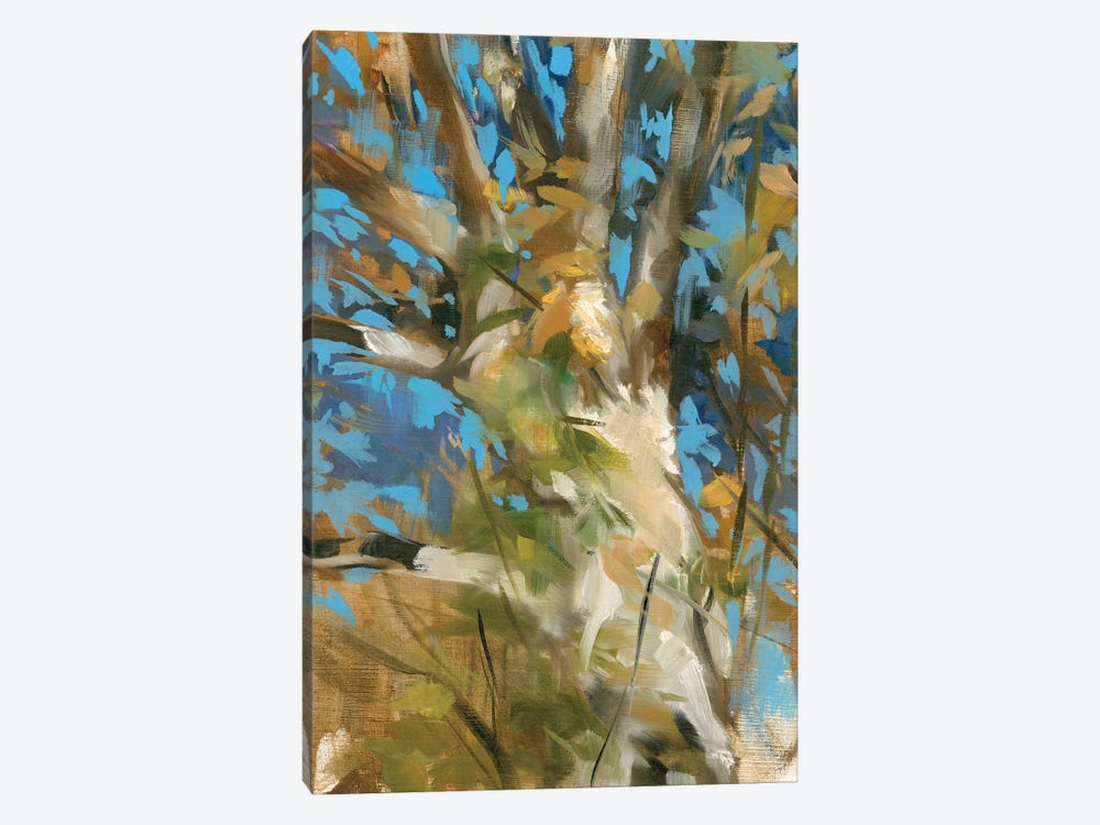 Oak Tree by Liz Jardine 1-piece Canvas Wall Art