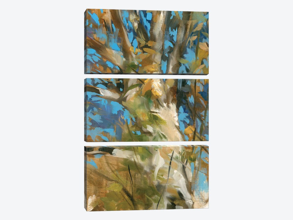 Oak Tree by Liz Jardine 3-piece Canvas Art