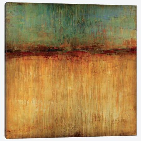 Desert Sunset Canvas Print #JAR38} by Liz Jardine Canvas Artwork