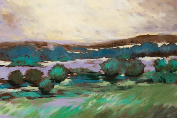 Liz Jardine: Sunny Desert Floor by Liz Jardine